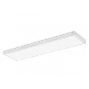 LED panel 1200x300 50W 4000K 4500lm N/T BIELA