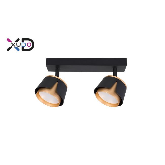 XD-IK282B GX53 LED nástenné svietidlo x2 čierna+zlatá